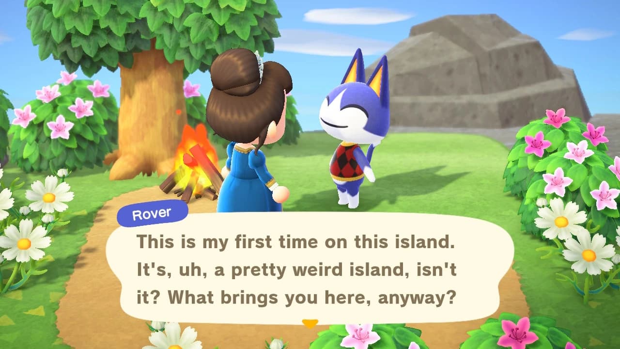 Rover Conversation Island