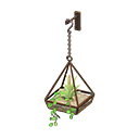 Hanging Terrarium