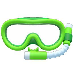 Snorkel Mask