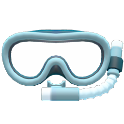 Snorkel Mask