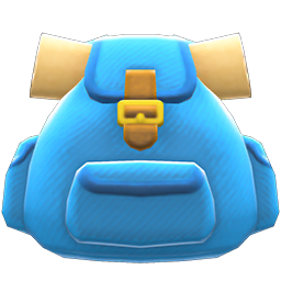 Traveler's Backpack