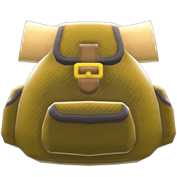 Traveler's Backpack