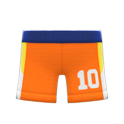 Basketball Shorts