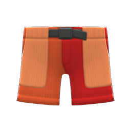 Multicolor Shorts