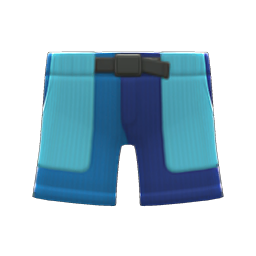 Multicolor Shorts