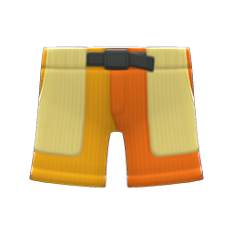 Multicolor Shorts