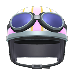 Helmet With Goggles