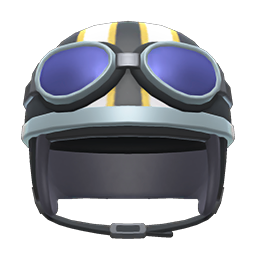 Helmet With Goggles