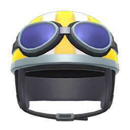 Helmet With Goggles