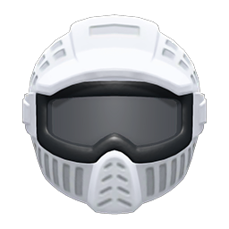 Paintball Mask