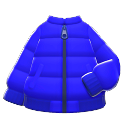 Down Jacket
