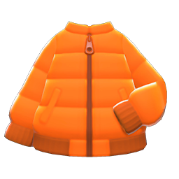 Down Jacket