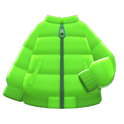 Down Jacket