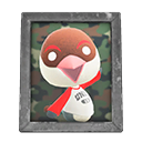 Peck's Photo