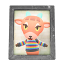 Pashmina's Photo