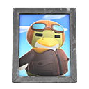 Boomer's Photo