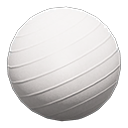 Exercise Ball