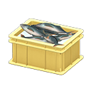 Fish Container