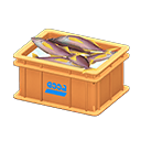 Fish Container