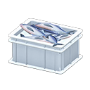 Fish Container
