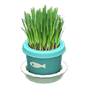 Cat Grass