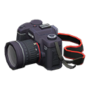 SLR Camera