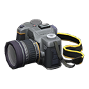 SLR Camera