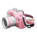 SLR Camera