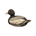 Decoy Duck