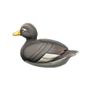 Decoy Duck