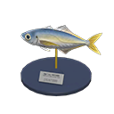 Horse Mackerel Model