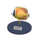 Butterfly Fish Model