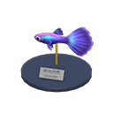 Guppy Model