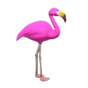 Mr. Flamingo