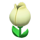 Tulip Surprise Box