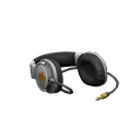 Professional Headphones