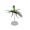 Tiger Beetle Model