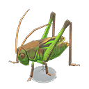 Grasshopper Model