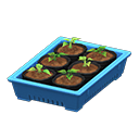 Potted Starter Plants