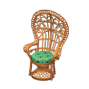 Peacock Chair