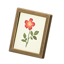 Framed Photo