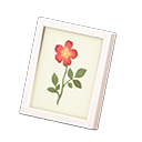 Framed Photo