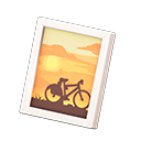 Framed Photo