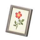 Framed Photo