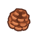 Pine Cone