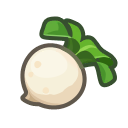 100 Turnips