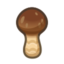 Elegant Mushroom