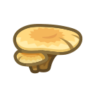 Flat Mushroom