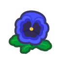 Blue Pansies