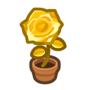 Gold-Rose Plant